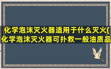 化学泡沫灭火器适用于什么灭火(化学泡沫灭火器可扑救一般油质品)