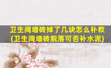 卫生间墙砖掉了几块怎么补救(卫生间墙砖脱落可否补水泥)