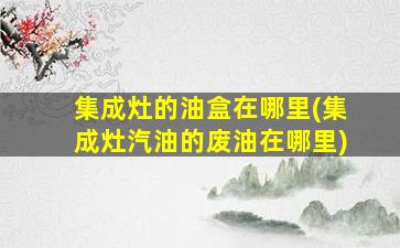 集成灶的油盒在哪里(集成灶汽油的废油在哪里)
