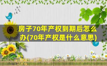 房子70年产权到期后怎么办(70年产权是什么意思)