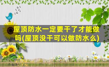 屋顶防水一定要干了才能做吗(屋顶没干可以做防水么)