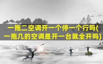 一拖二空调开一个停一个行吗(一拖几的空调是开一台就全开吗)