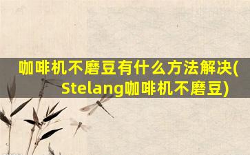 咖啡机不磨豆有什么方法解决(Stelang咖啡机不磨豆)