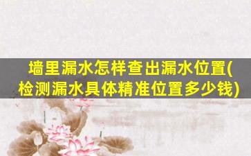 墙里漏水怎样查出漏水位置(检测漏水具体精准位置多少钱)