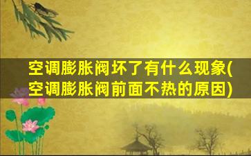 空调膨胀阀坏了有什么现象(空调膨胀阀前面不热的原因)