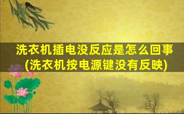 洗衣机插电没反应是怎么回事(洗衣机按电源键没有反映)
