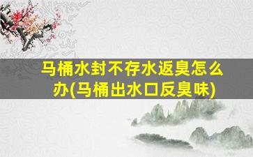 马桶水封不存水返臭怎么办(马桶出水口反臭味)
