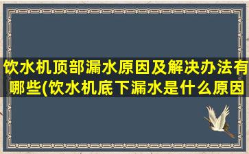 饮水机顶部漏水原因及解决办法有哪些(饮水机底下漏水是什么原因)