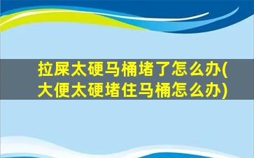 拉屎太硬马桶堵了怎么办(大便太硬堵住马桶怎么办)