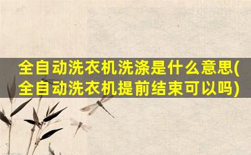 全自动洗衣机洗涤是什么意思(全自动洗衣机提前结束可以吗)