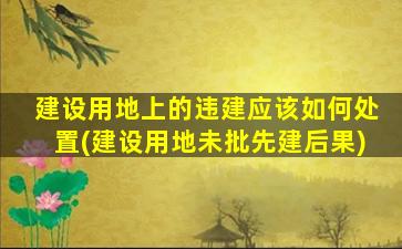 建设用地上的违建应该如何处置(建设用地未批先建后果)