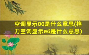 空调显示00是什么意思(格力空调显示e6是什么意思)