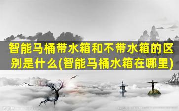 智能马桶带水箱和不带水箱的区别是什么(智能马桶水箱在哪里)