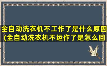 全自动洗衣机不工作了是什么原因(全自动洗衣机不运作了是怎么回事)