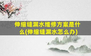 伸缩缝漏水维修方案是什么(伸缩缝漏水怎么办)