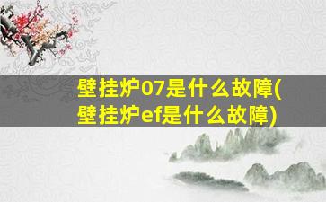 壁挂炉07是什么故障(壁挂炉ef是什么故障)
