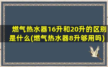 燃气热水器16升和20升的区别是什么(燃气热水器8升够用吗)