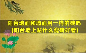 阳台地面和墙面用一样的砖吗(阳台墙上贴什么瓷砖好看)