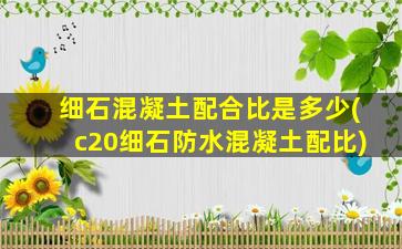 细石混凝土配合比是多少(c20细石防水混凝土配比)