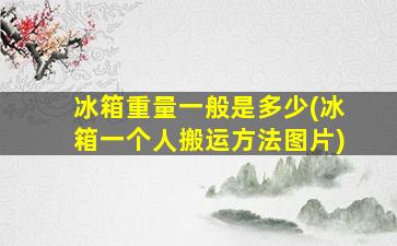冰箱重量一般是多少(冰箱一个人搬运方法图片)
