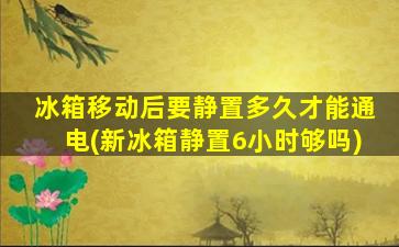 冰箱移动后要静置多久才能通电(新冰箱静置6小时够吗)
