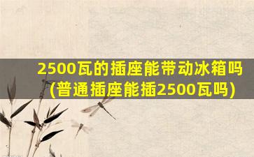 2500瓦的插座能带动冰箱吗(普通插座能插2500瓦吗)