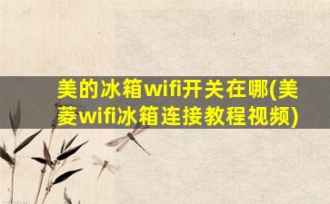 美的冰箱wifi开关在哪(美菱wifi冰箱连接教程视频)