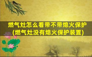 燃气灶怎么看带不带熄火保护(燃气灶没有熄火保护装置)