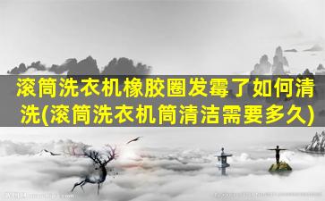 滚筒洗衣机橡胶圈发霉了如何清洗(滚筒洗衣机筒清洁需要多久)