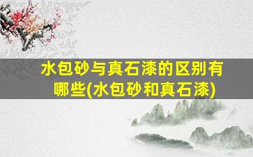 水包砂与真石漆的区别有哪些(水包砂和真石漆)