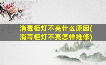 消毒柜灯不亮什么原因(消毒柜灯不亮怎样维修)