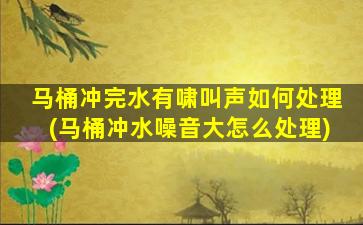 马桶冲完水有啸叫声如何处理(马桶冲水噪音大怎么处理)