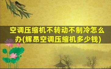 空调压缩机不转动不制冷怎么办(辉昂空调压缩机多少钱)
