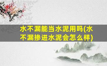 水不漏能当水泥用吗(水不漏掺进水泥会怎么样)