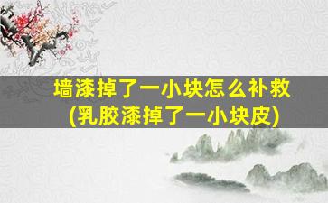 墙漆掉了一小块怎么补救(乳胶漆掉了一小块皮)
