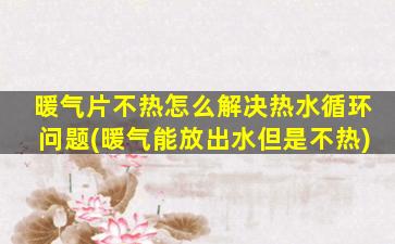 暖气片不热怎么解决热水循环问题(暖气能放出水但是不热)