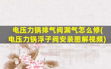 电压力锅排气阀漏气怎么修(电压力锅浮子阀安装图解视频)
