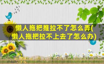 懒人拖把推拉不了怎么弄(懒人拖把拉不上去了怎么办)