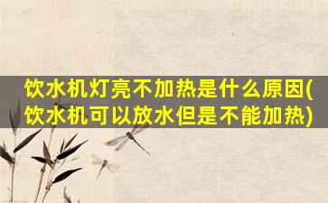 饮水机灯亮不加热是什么原因(饮水机可以放水但是不能加热)