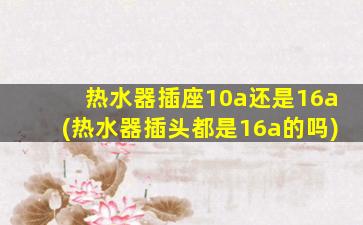 热水器插座10a还是16a(热水器插头都是16a的吗)