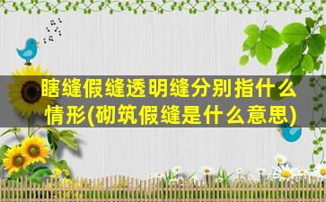 瞎缝假缝透明缝分别指什么情形(砌筑假缝是什么意思)