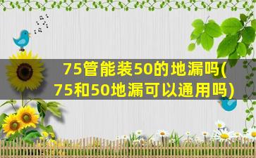 75管能装50的地漏吗(75和50地漏可以通用吗)