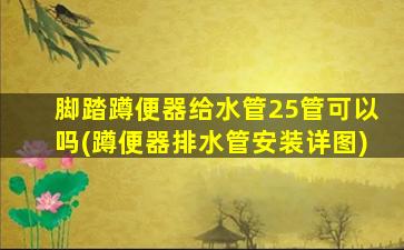 脚踏蹲便器给水管25管可以吗(蹲便器排水管安装详图)