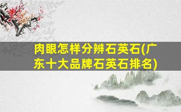 肉眼怎样分辨石英石(广东十大品牌石英石排名)
