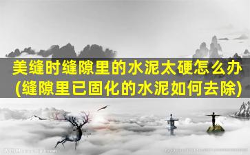 美缝时缝隙里的水泥太硬怎么办(缝隙里已固化的水泥如何去除)