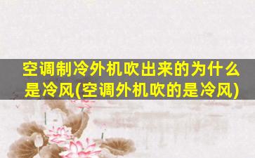 空调制冷外机吹出来的为什么是冷风(空调外机吹的是冷风)