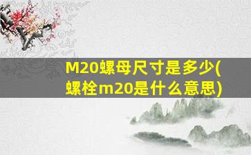 M20螺母尺寸是多少(螺栓m20是什么意思)