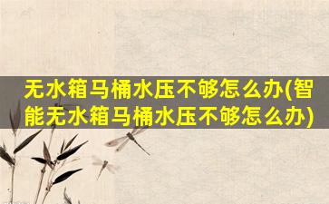 无水箱马桶水压不够怎么办(智能无水箱马桶水压不够怎么办)