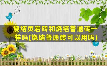 烧结页岩砖和烧结普通砖一样吗(烧结普通砖可以用吗)