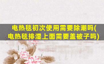电热毯初次使用需要除潮吗(电热毯排湿上面需要盖被子吗)